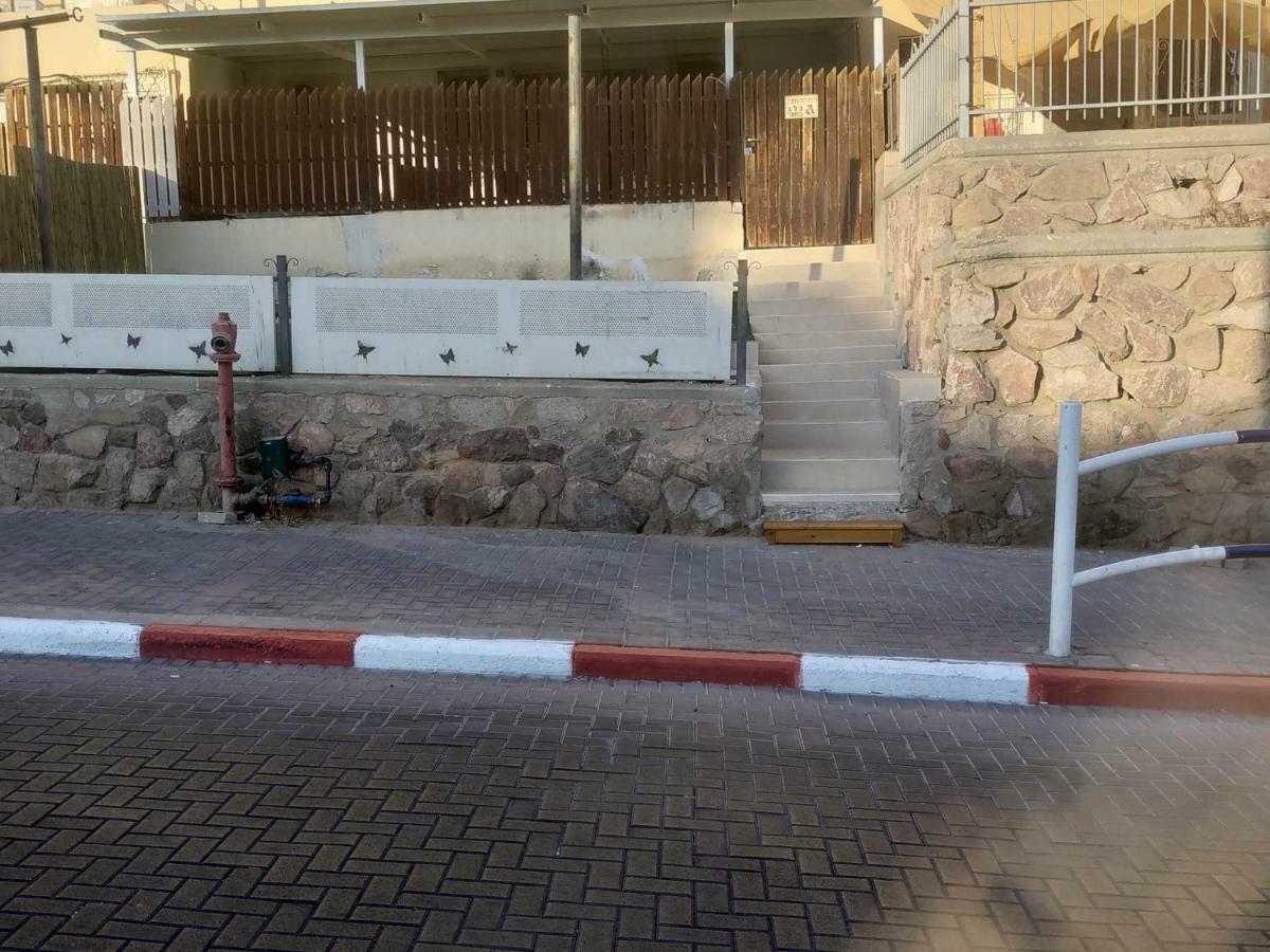 White Butterflies Eilat